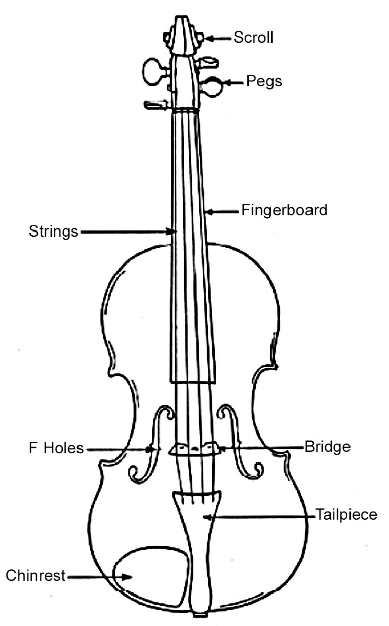 Parts of the violin
